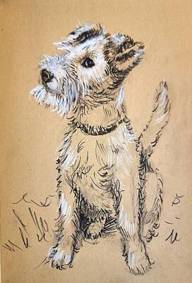 Modern Sophistication Beaches And Waves - Terrier puppy by Asha Sudhaker Shenoy