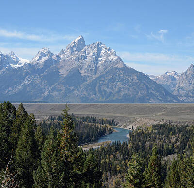 Reptiles Photos - Tetons and the Snake River 1 by Whispering Peaks Photography