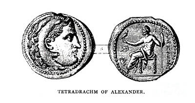 Queen - Tetradrachm of Alexander b3 by Historic Illustrations