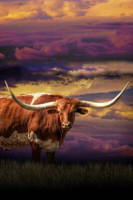 Randall Nyhof Royalty-Free and Rights-Managed Images - Texas Longhorn Steer at Sunset Vertical Format  by Randall Nyhof