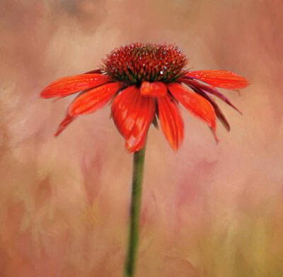 Green Grass - Textured coneflower by Tami Bevis
