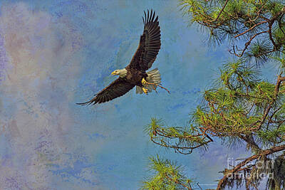 Monochrome Landscapes - Textured Eagle With Twig by Deborah Benoit