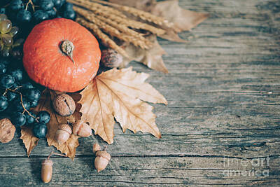 Photo Royalty Free Images - Thanksgiving pumpkin on rustic wooden table from above Royalty-Free Image by Jelena Jovanovic