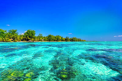 Beach Photo Rights Managed Images - The Amazing Colours of Bora Bora Royalty-Free Image by Dr K X Xhori