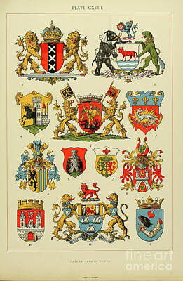 Drawings Royalty Free Images - The art of heraldry h32 Royalty-Free Image by Historic illustrations