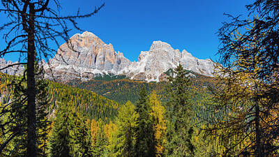 Game Of Thrones - The autumn forest on the dolomites. Italy by Nicola Simeoni