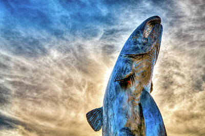 Catch Of The Day - The Blue Whale by Spencer McDonald