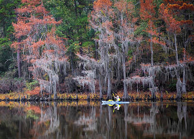 Going Green Royalty Free Images - The Canoe Ride At Caddo Lake Royalty-Free Image by Harriet Feagin