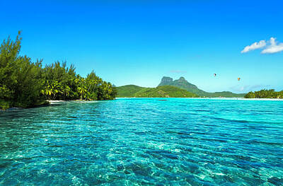 Beach Photo Rights Managed Images - The Clear Waters of Bora Bora Royalty-Free Image by Dr K X Xhori