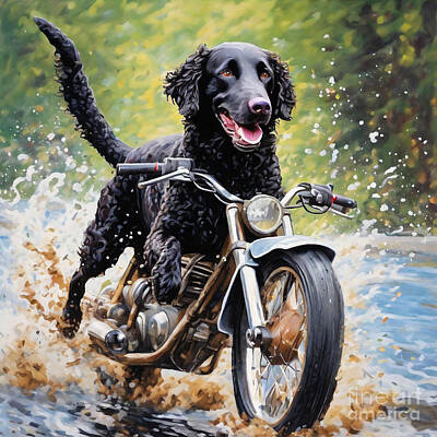 Short Story Illustrations Royalty Free Images - The Curly-Coated Retriever on a Motorcycle Royalty-Free Image by Clint McLaughlin