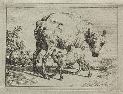 Modern Man Ford Bronco - The Ewe and Two Lambs 1670 Adriaen van de Velde  by MotionAge Designs