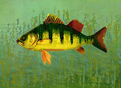 Sports Mixed Media - The Fanciful Limon Barb by Shelli Fitzpatrick
