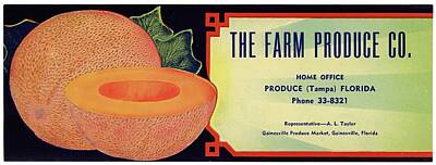 Music Royalty-Free and Rights-Managed Images - The Farm Produce Company Cantaloupe Label 1930-1950 Anonymous by Hamza Khan