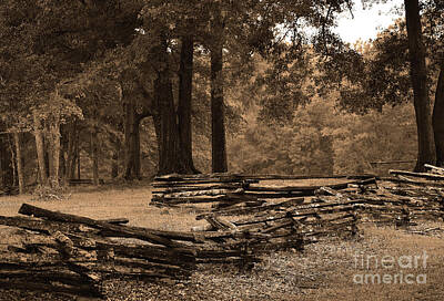 Vintage Ford - The Fences At Brattonsville by Skip Willits