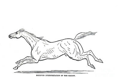 Grateful Dead Royalty Free Images - The Gallop x2 Royalty-Free Image by Historic illustrations