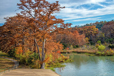 Little Mosters - The Glory of Fall on the Guadalupe by Lynn Bauer