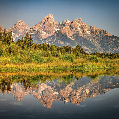 Reptiles Photo Royalty Free Images - The Grand Tetons Of Wyoming Royalty-Free Image by Gregory Ballos