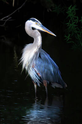 Recently Sold - Birds Photo Rights Managed Images - The Great Heron Royalty-Free Image by Mark Andrew Thomas