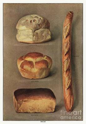 Kitchen Vintage Signs - The Grocer Encyclopedia 1911, a vintage collection of various types of baked bread loaves. by Shop Ability