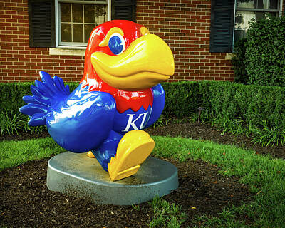 Football Royalty-Free and Rights-Managed Images - The KU Jayhawk - Lawrence Kansas by Gregory Ballos
