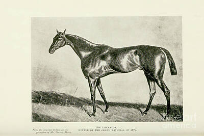 Sports Drawings - The Liberator Winner of the Grand National of 1879 a5 by Historic Illustrations