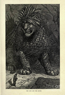 Recently Sold - Animals Drawings - The Lion and the Mouse r2 by Historic illustrations