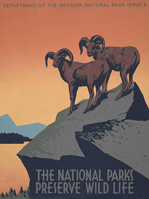 Us License Plate Maps - The National Parks Preserve Wild Life by America