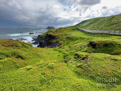 Royalty-Free and Rights-Managed Images - The Nobbies Boardwalk Phillip Island Australia by THP Creative