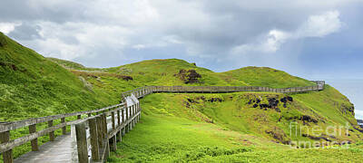 Royalty-Free and Rights-Managed Images - The Nobbies Boardwalk Phillip Island by THP Creative