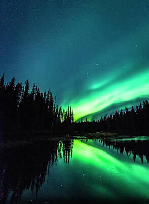 Halloween Elwell Royalty Free Images - The Northern Lights over Alaska Royalty-Free Image by David Morefield
