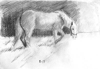 Drawings Royalty Free Images - The Old Gray Mare Royalty-Free Image by David Zimmerman