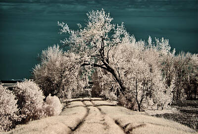Thomas Kinkade - The Path to Nowhere - grassy trail in rural North Dakota shot in infrared spectrum by Peter Herman
