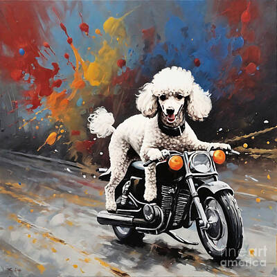 Animals Drawings - The Poodle Racing on a Motorcycle by Clint McLaughlin