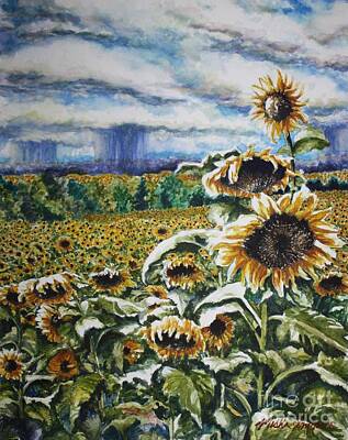 Sunflowers Paintings - The Prerost Sunflower Field off of Detour Rd, Bowling Green, KY by Misha Ambrosia