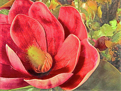 Still Life Mixed Media - The Red Blossom by Sharon Williams Eng