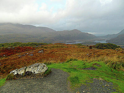 Animal Surreal - The Ring Of Kerry 6 by John Hughes