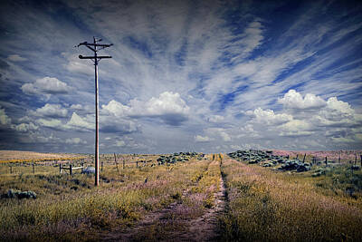 Randall Nyhof Photo Royalty Free Images - The Road Less Traveled Royalty-Free Image by Randall Nyhof