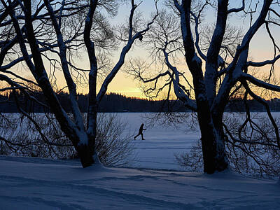 Fromage - The skier on the ice by Jouko Lehto