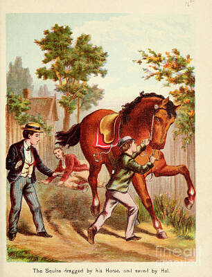 Animals Drawings - The Squire Dragged by his Horse m3 by Historic illustrations