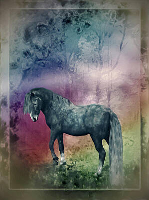 Colorful Fish Xrays - The Stallion In The Enchanted Woodlands by Patricia Keller
