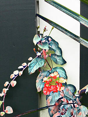 Still Life Mixed Media - The Vine in the Window by Sharon Williams Eng