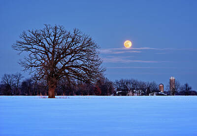 Royalty-Free and Rights-Managed Images - The Winter Blues - Wolf Moonrise with Lone Oak and WI Dairy Farm by Peter Herman
