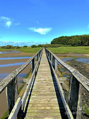 Vintage Tees - The Wooden Bridge that leads to Aberlady Bay Nature Reserve and Beach by Douglas Brown