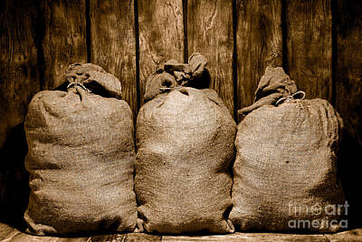 Landmarks Royalty-Free and Rights-Managed Images - Three Bags in a Warehouse - Sepia by American West Legend