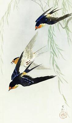 Hollywood Style - Three birds in full flight by Ohara Koson 1877-1945 by Shop Ability