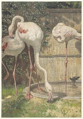 Target Threshold Nature - Three flamingos at a basin August Allebe 1872 by Arpina Shop