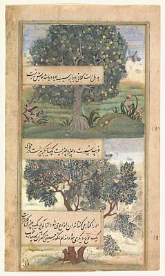 Airplane Paintings Royalty Free Images - Three Trees of India  Folio from a Baburnama Autobiography of Babur late 16th century Royalty-Free Image by Arpina Shop