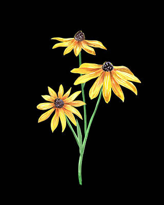 Queen - Three Yellow Black Eyed Susan Flowers Floral Art Minimalism PNG  by Irina Sztukowski