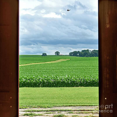 Kim Fearheiley Photography - Through The Barn Doors - Square by Linda Brittain