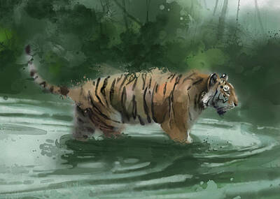 Animals Digital Art - Tiger At The River  by Bekim M